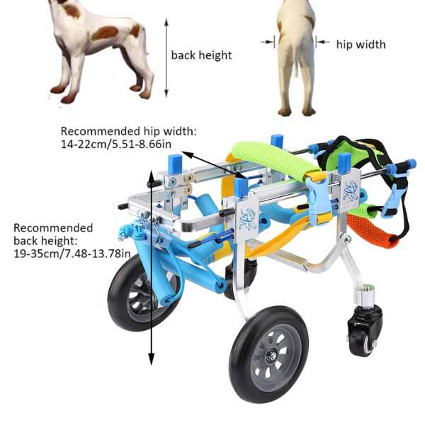 ペット用車椅子 犬用車椅子 犬用4輪歩行器 車椅子 お散歩 補助輪 障害者 ペット用 歩行器 ペット/犬/猫用 後ろ足 散歩車 練習車 老犬介護  ドッグウォーカー 犬 補助サポートスクーターの通販はau PAY マーケット - アッシュカラー | au PAY マーケット－通販サイト