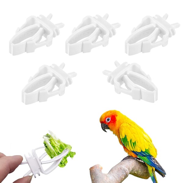 鳥かご専用 エサ用ニッパー フードホルダー クリップ 野菜ホルダー 5個セット プラスチック 鳥 餌入れ 野菜 フルーツ ペットフード クリップ インコ 食品ホルダー オウム 給餌器 ケージ 食器・餌入れ・水入れ
