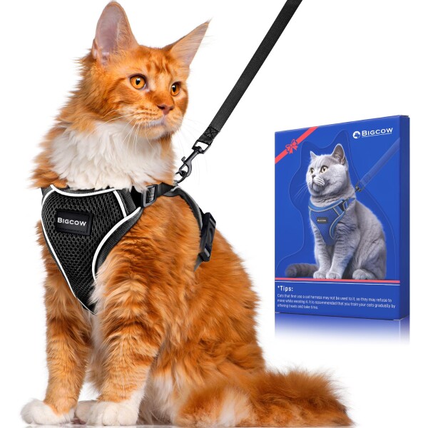 Bigcow 猫 猫用 ハーネスリード セット 猫牽引ロープ リード 猫ハーネス 猫用ハーネス 胴輪 猫具 ねこ ネコ 子猫 散歩 お出かけ 抜けない ベスト ソフト胸あて 軽量 頭を通さず装着可能 サの通販は