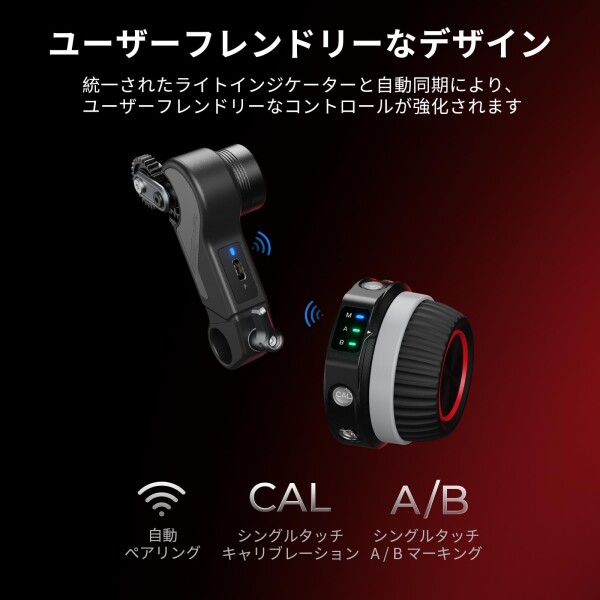 増田千代松 芍葉シャクヤク図 紙本 肉筆 掛軸 淡路島 仙人画家