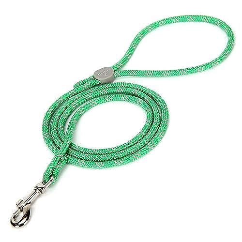 J&C Paradise ハンズフリーリード 日本正規店 ハンドル調節付き 便利 軽い 可愛い 新型 小型犬 中型犬 1.2ｍ 犬用リード TRUELOVE (M, グラスグリーン)