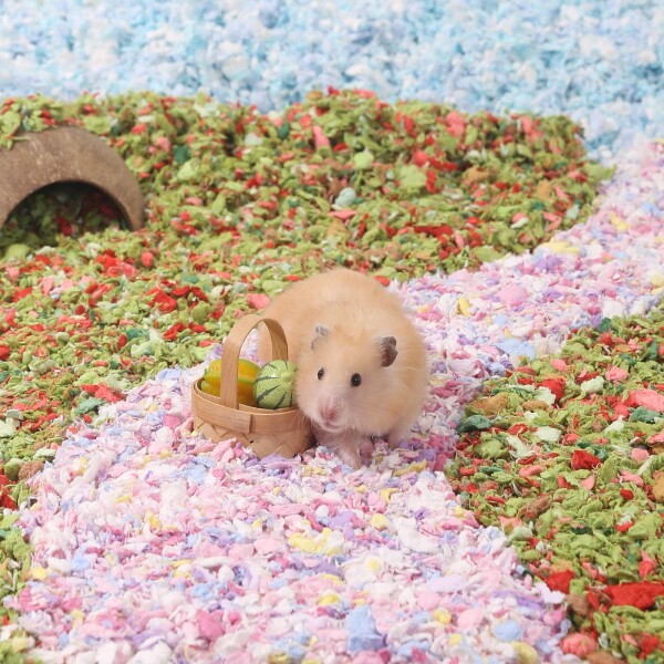 Tafit 小動物 床材 ハムスター 床材 紙 ハムスター マット