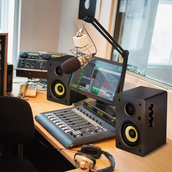 Sanyun SW206 80 モニタースピーカー Sanyun SW206 80 Wアクティブ