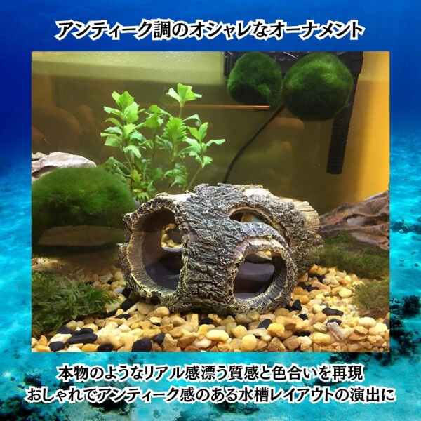 Charmoon 水槽 オブジェ 流木 隠れ家 シェルター アクアリウム