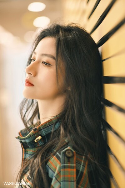 中古)Nikon (展示品) Nikon AF-S NIKKOR 35mm F1.4 G (レンズ