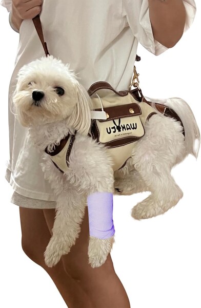 Wakytu ハーネス 小型犬 猫 ペットと一緒に旅行や買い物をするけがをしたペットの歩行を助ける 犬 介護 犬のベルト 肩ひも ポケット 調節可能 可愛い XS