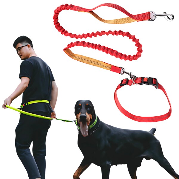 Mellbo 犬 リード ショルダーリード 首輪付き 犬用リード 肩掛け 伸縮 小型犬 中型犬 大型犬 6in1多機能 140-170cm レッド