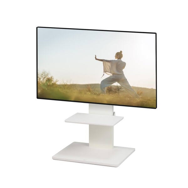 テレビスタンド WALL B1 ロータイプ 棚板セット ウォールナット WALL