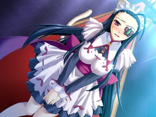 真・恋姫†夢想~乙女繚乱☆三国志演義~魏編(通常版) - PSP