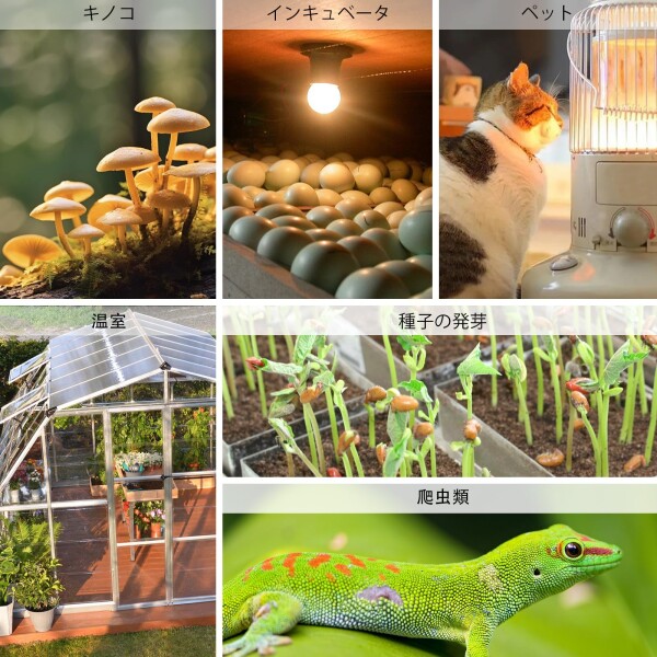 デジタル温湿度コントローラーコンセント、爬虫類用サーモスタットプラグ デュアルステージ配線済み キノコ栽培温室用_4