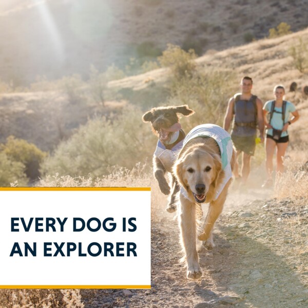 RUFFWEAR(ラフウェア) スワンプクーラーベスト セージグリーン X-Large_8