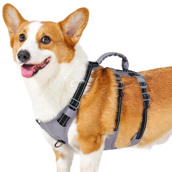 Huntboo 犬 ハーネス 小型犬 中型犬 犬用ハーネス 引っ張り防止 抜けない サイズ調整可能 夜間反射 咳き込み防止 歩行補助 訓練 散歩 大型犬 柴犬 (ブラック,M)