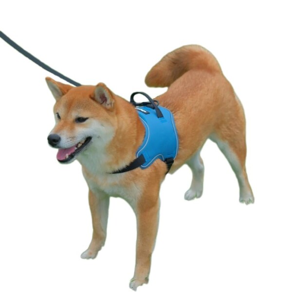 AIBPET 犬 ハーネス 耐久性 小型犬 中型犬 訓練 軽量 小型犬 通気性 大型犬 使い易く 犬用ハーネス 訓練用 引っ張り防止 反射材料 首輪 弾力性 調節可能 リード 介護 ペット用品 装着簡単