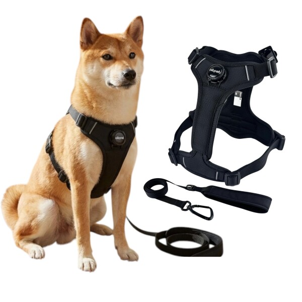 AIBPET 犬 ハーネス＆リードセット 軽量 通気性 反射テープ付き 名札熱圧着済 小型犬〜大型犬対応 胸長さ（前後）調整可能 Fit System調節バックル 着脱簡単 引っ張り防止 (black, M)