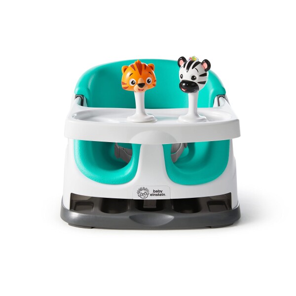 Dine & DiscoverTM Multi-Use Booster Seat