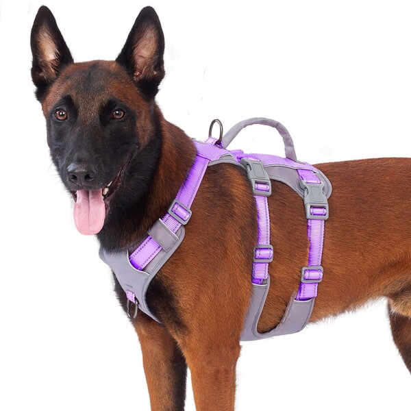 Huntboo 犬 ハーネス 小型犬 中型犬 犬用ハーネス 引っ張り防止 抜けない サイズ調整可能 夜間反射 咳き込み防止 歩行補助 訓練 散歩 大型犬 柴犬 (パープル,L)