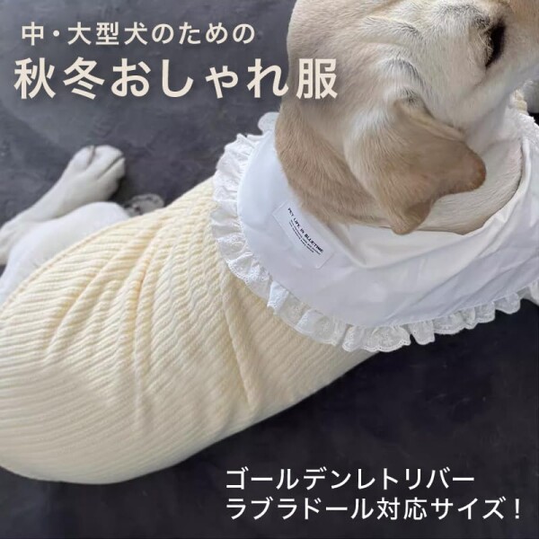 MT MON TReSOR 犬 服 大型犬用 ニット ベスト風 襟付き グレー リブ レース襟 可愛い おしゃれ 秋冬 暖かい ドッグウェア ゴールデンレトリバー ラブラドール対応 (ネイビー, XL)_1
