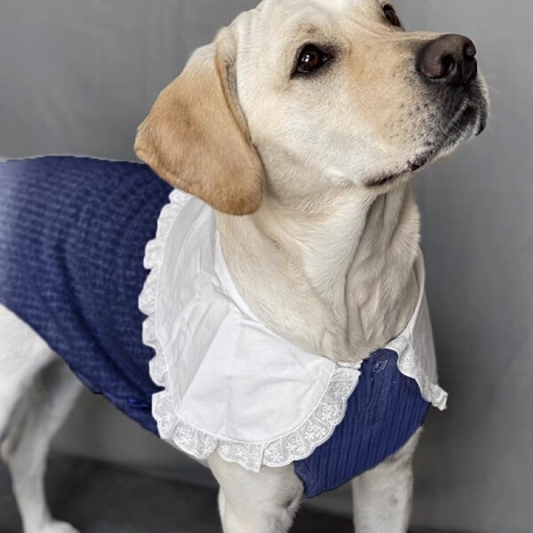 MT MON TReSOR 犬 服 大型犬用 ニット ベスト風 襟付き グレー リブ レース襟 可愛い おしゃれ 秋冬 暖かい ドッグウェア ゴールデンレトリバー ラブラドール対応 (ネイビー, XL)_4