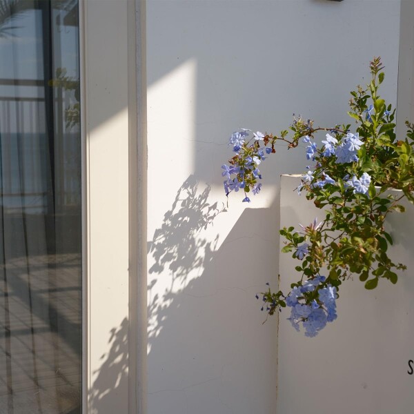 Viltrox AF28mm F4.5 AIR VCM ASPH ED Xマウント ブラック_4
