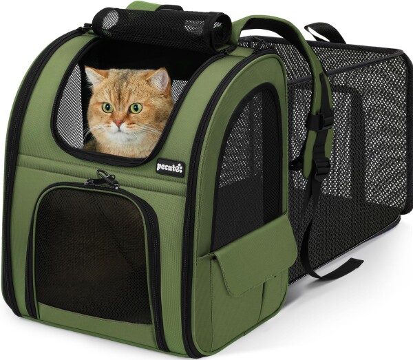 Pecute 犬 リュック 猫 キャリー リュック 拡張可能 2WAY 猫キャリーバッグ 猫 小中型犬用 バッグ 通気性 折り畳み 旅行 通院 防災 避難用 ペットキャリー グリーン