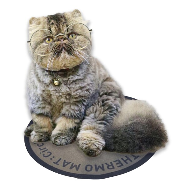 PROMO THERMO｜プロモサーモマット サークル ブラックシリカ 犬猫用 ペットS (直径30cm オリーブグリーン 猫パッケージ)
