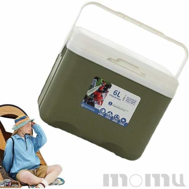 自動車専用 高品質PP製 車載冷蔵庫 6Lミニ小型冷蔵庫 冷熱両用 12ボルト低ロス 多機能冷凍庫 AC 保冷 加熱  車載冷蔵庫 6lの通販
