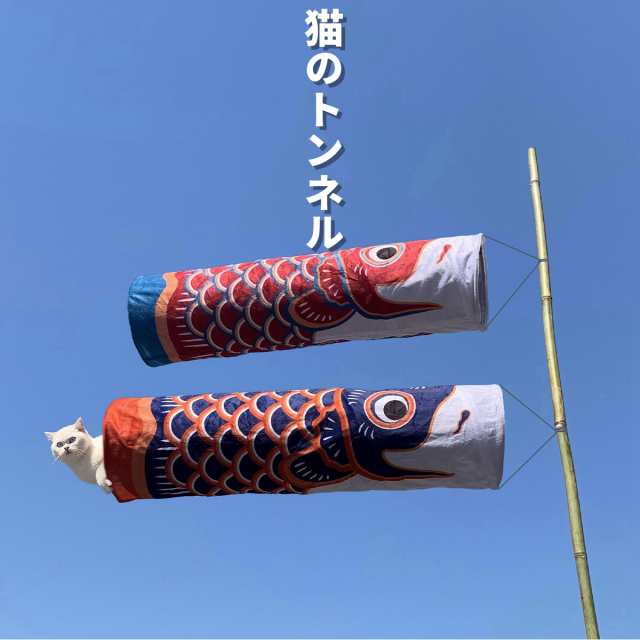 猫 トンネル 猫 おもちゃ うさぎ トンネル 折りたたみ 頑丈 一人遊び 運動不足解消 キャットトイ ペット玩具 猫遊び 人気 丈夫 ペット用品 オシャレ