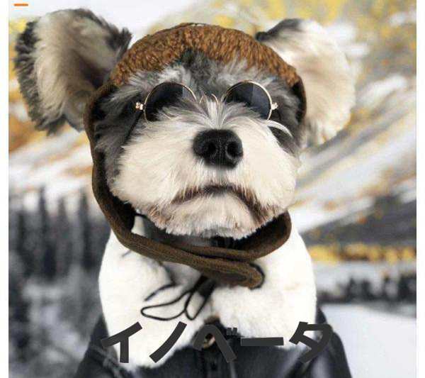 リュクスバーディ Luxe birdie アイナワンピース 小型犬 犬服