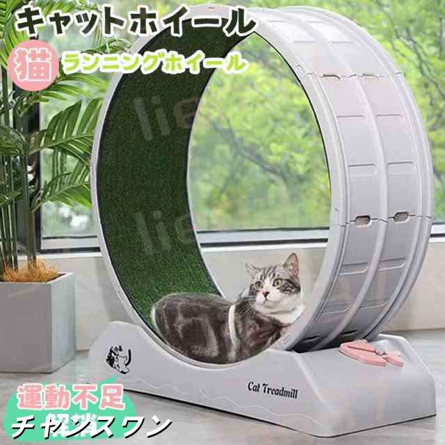 ドギーマンハヤシ しなやか牛アキレス 150g | ドギーマン 犬用おやつ しなやか牛アキレス ビーフ 150グラム