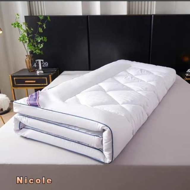 ナイスデイ 【 TEIJIN (帝人) 快適清潔シリーズ 】 敷布団 ホワイト シングル (100×210cm) 圧縮なしタイプ 極厚6cm