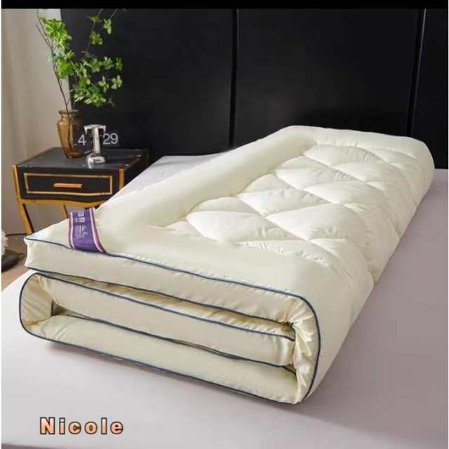 ナイスデイ 【 TEIJIN (帝人) 快適清潔シリーズ 】 敷布団 ホワイト