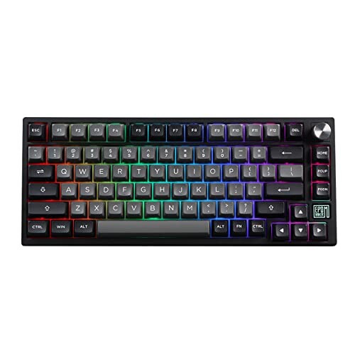 EPOMAKER TH80 SE ゲーミングキーボード ガスケット 75% メカニカルキーボード NKRO ホットスワップ対応 RGB 2.4Ghz/ Bluetooth 5.0/有線