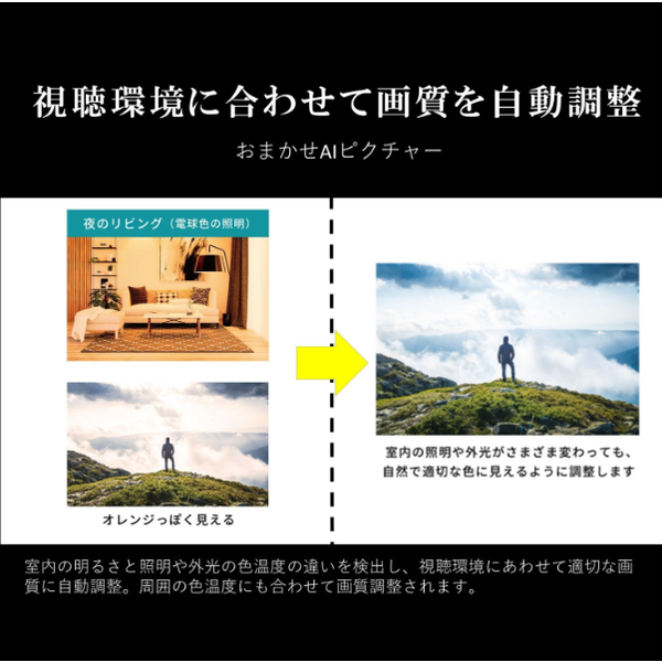 液晶テレビ 55型 東芝 55M550M REGZA レグザ 55V型 55インチ 地上・BS・110度CSデジタル 4Kチューナー内蔵_12
