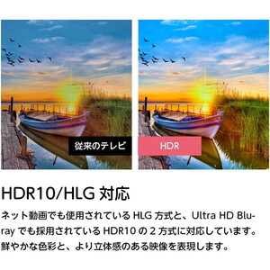 ORION OLS65RD10C SMART TV [65V型 地上・BS・110度CSデジタル 4K対応 スマート液晶テレビ]_7