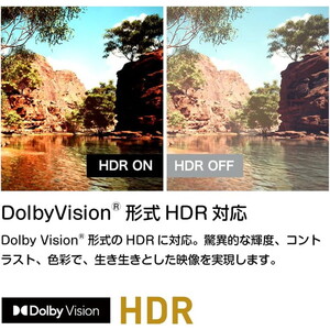 ORION OLS65RD10C SMART TV [65V型 地上・BS・110度CSデジタル 4K対応 スマート液晶テレビ]_8