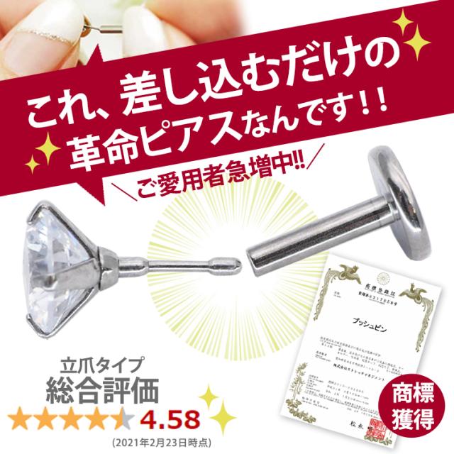 日曜日セール開始❣️hum ハムエタピアス片耳　（左用） 2つ穴用ステンレス製ダブルピアス spi0088 ステンレス