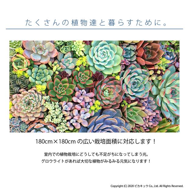 単 グロウライト ファンレス 薄型 設計 450W 180cm×180cm アングル120度 育成 ライト LED 植物 育成灯 フルスペクトラム設計 耐久50,000時間_2