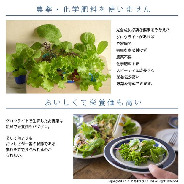 単 グロウライト ファンレス 薄型 設計 450W 180cm×180cm アングル120度 育成 ライト LED 植物 育成灯 フルスペクトラム設計 耐久50,000時間_3