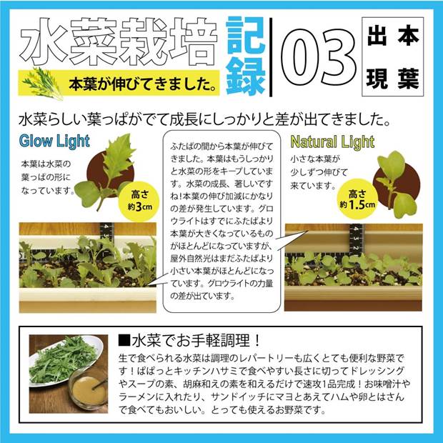 単 グロウライト ファンレス 薄型 設計 450W 180cm×180cm アングル120度 育成 ライト LED 植物 育成灯 フルスペクトラム設計 耐久50,000時間_16