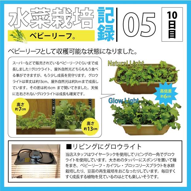 単 グロウライト ファンレス 薄型 設計 450W 180cm×180cm アングル120度 育成 ライト LED 植物 育成灯 フルスペクトラム設計 耐久50,000時間_18