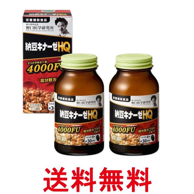 2個セット 野口医学研究所 納豆キナーゼHQ 120粒（約30日分） 納豆キナーゼ4000FU 送料無料