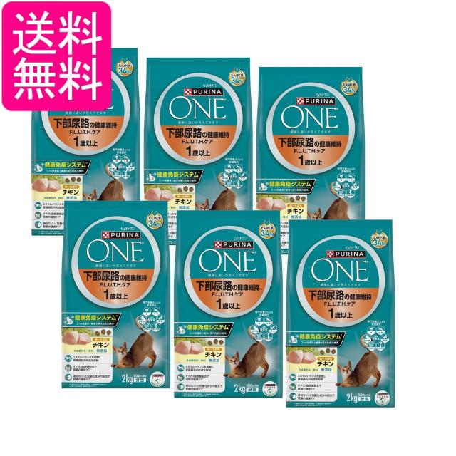 6個セット ピュリナワン キャット 下部尿路の健康維持F.L.U.T.H.ケア 1歳以上 チキン 2kg(500gｘ4袋入) 送料無料