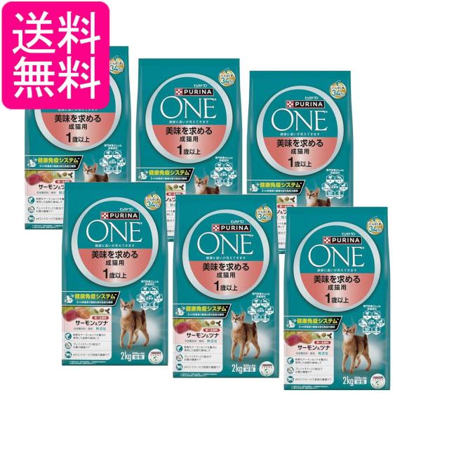 6個セット ピュリナワン キャット 美味を求める成猫用 1歳以上 サーモン&ツナ 2kg(500gｘ4袋入) 送料無料 13,283円