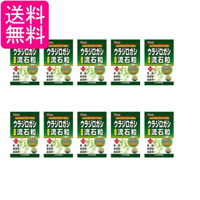 10個セット 山本漢方製薬 ウラジロガシ 流石粒 240粒 送料無料