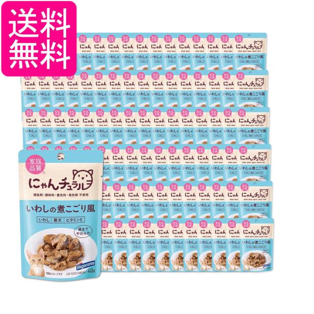 96個セット はごろも にゃんチュラル パウチ いわしの煮こごり風 40g 猫用 送料無料