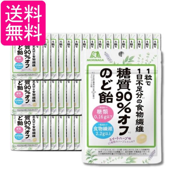 48個セット 森永製菓 糖質90％オフ のど飴 58g 送料無料
