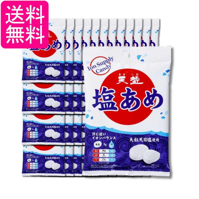 48個セット 天塩の塩あめ 大粒しお味 75g 送料無料