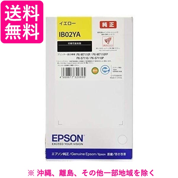 EPSON IB02YA 1色