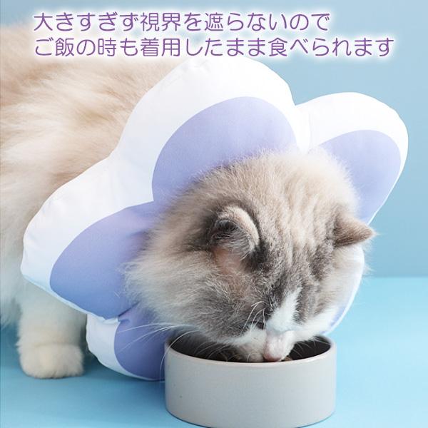 エリザベスカラー クッション 猫 ソフト 犬 傷舐め防止 引っかき防止