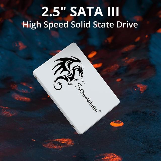 SomnAmbulist SSD 2.5インチ 64GB 128GB 256GB 512GB SATA3 内蔵型 ソリッドステートドライブ 120GB 240GB 480GB ノートパソコン デスクトップPC 対応 輸入品_1